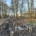 Van Aken Schroeffundering realiseert fundering op schroefpalen voor vlonderpad in Diepenbeek